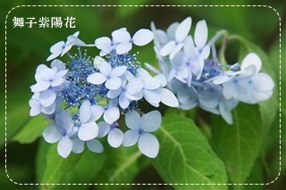 銀河の輝