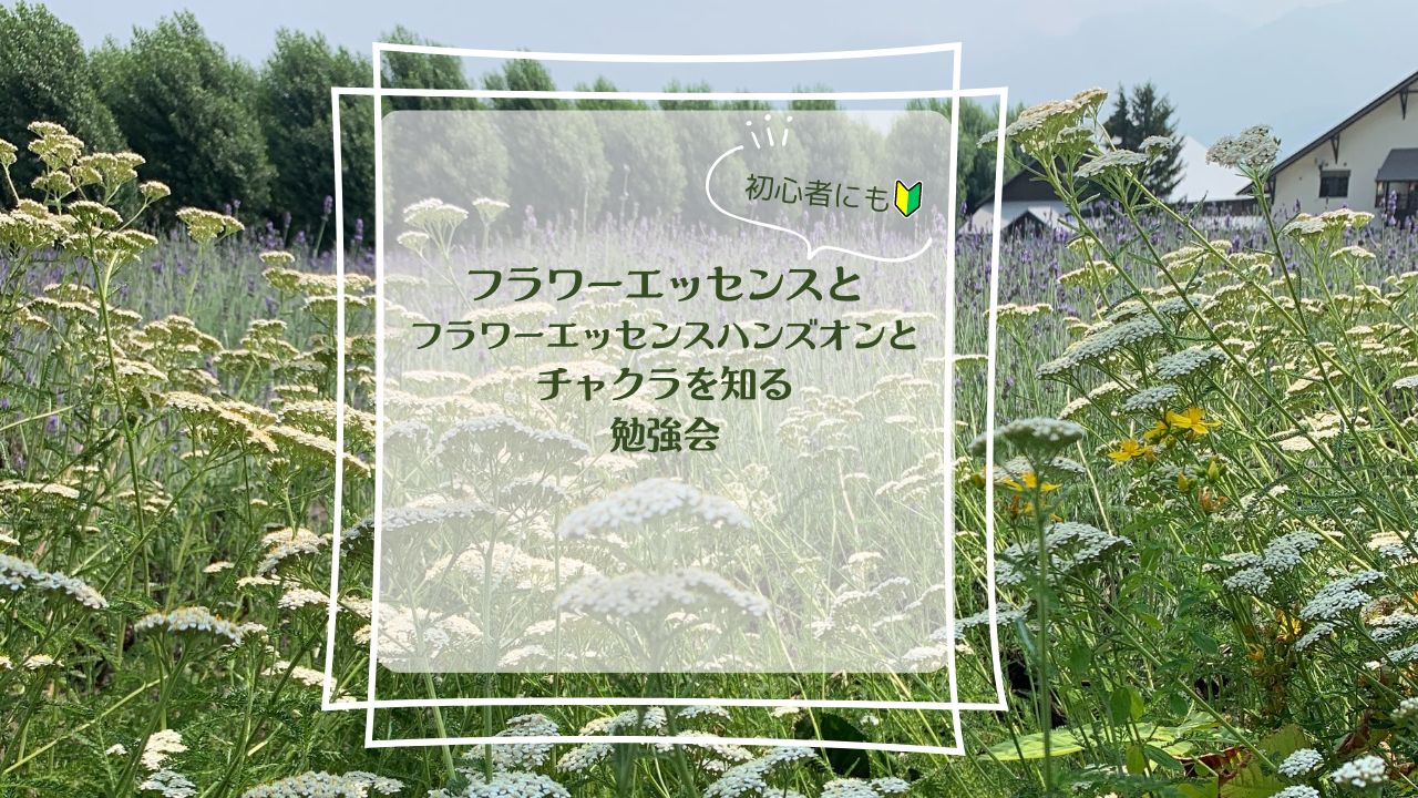 チャクラ ヒーリング ハンズオン 東京 魂の成長 こどもの発達