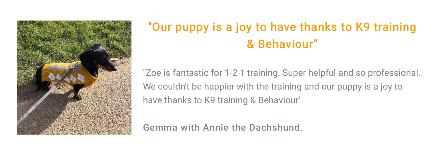 Funtastic k9 sale training