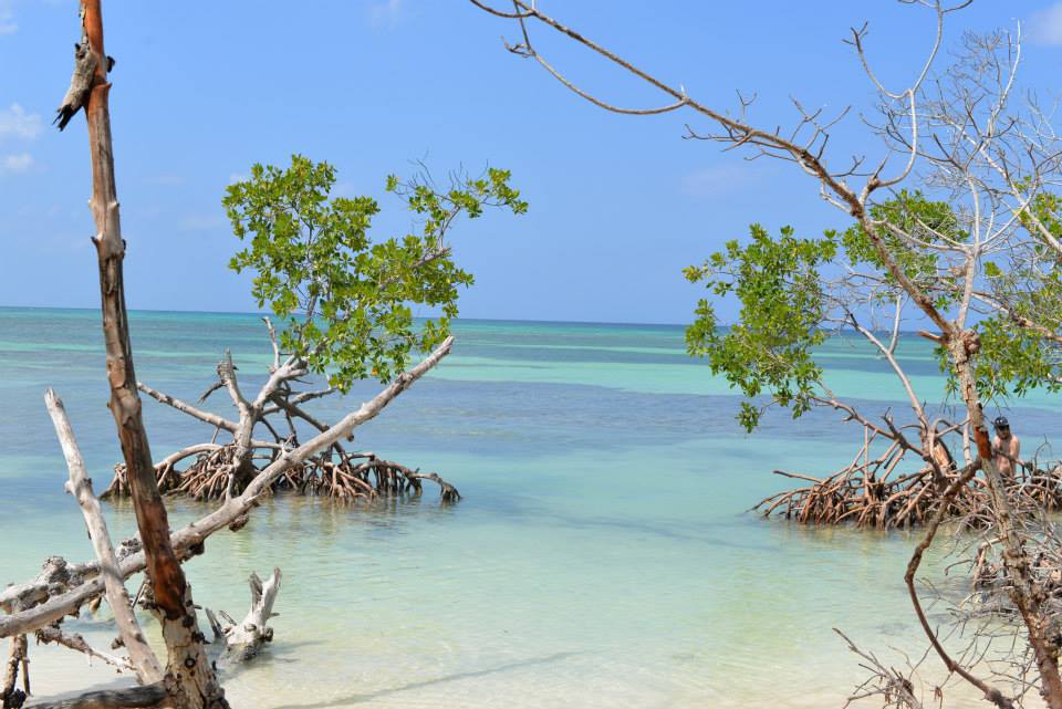 Cayo Jutias