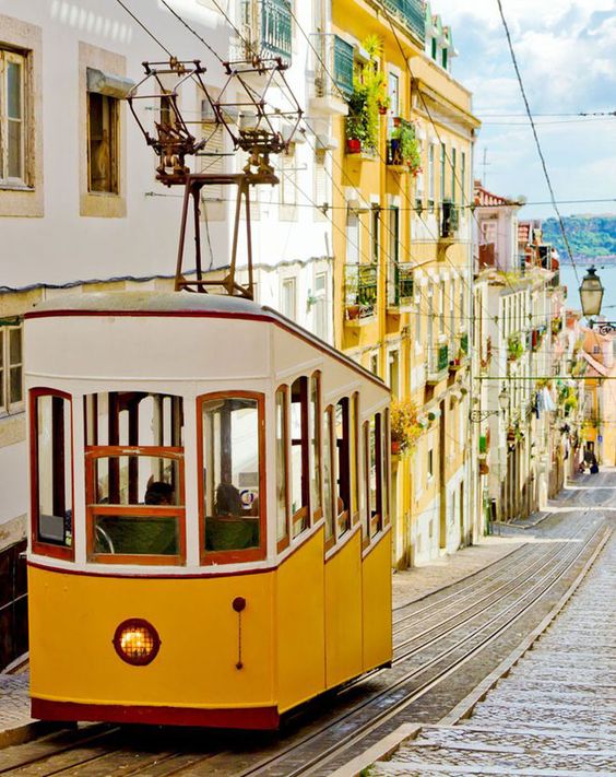 Petit tramway