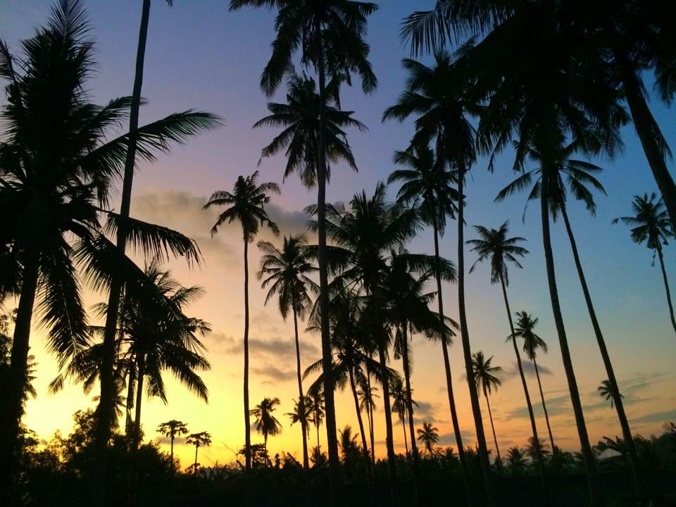 Lombok into the wild