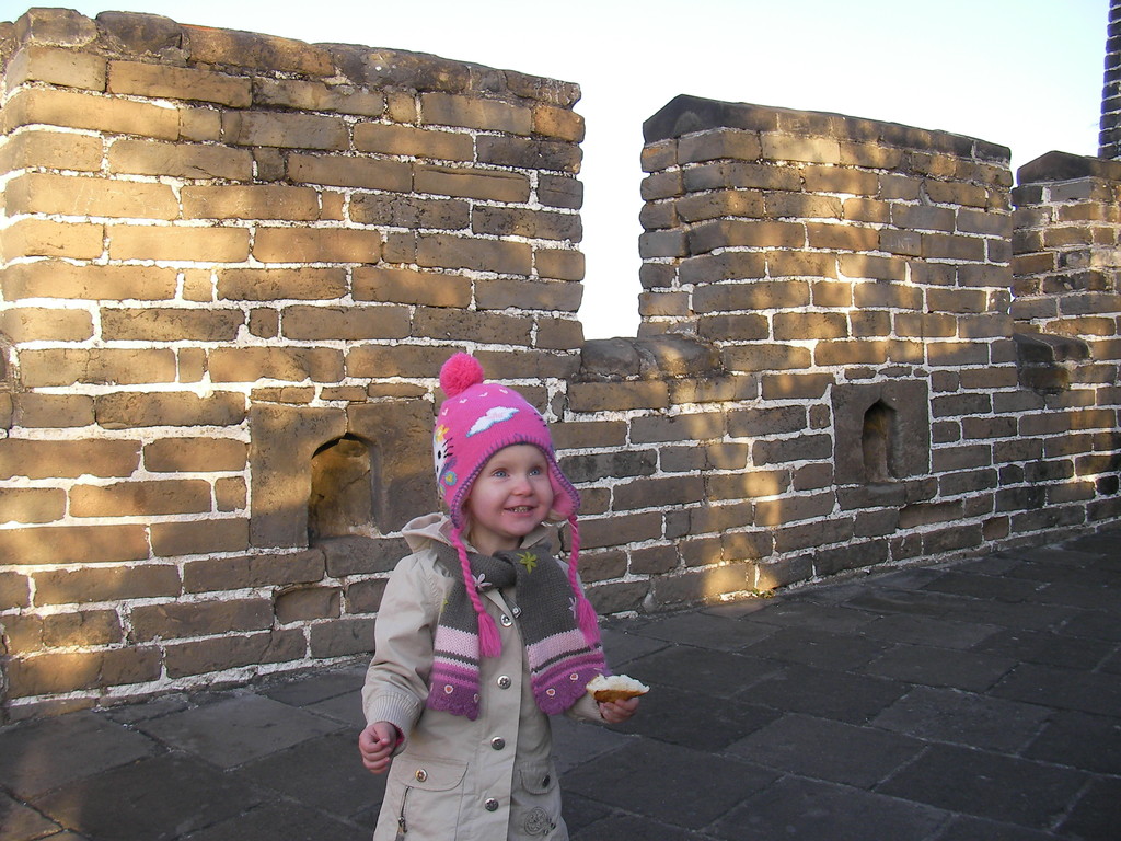 die chinesische Mauer/ the Great Wall of China