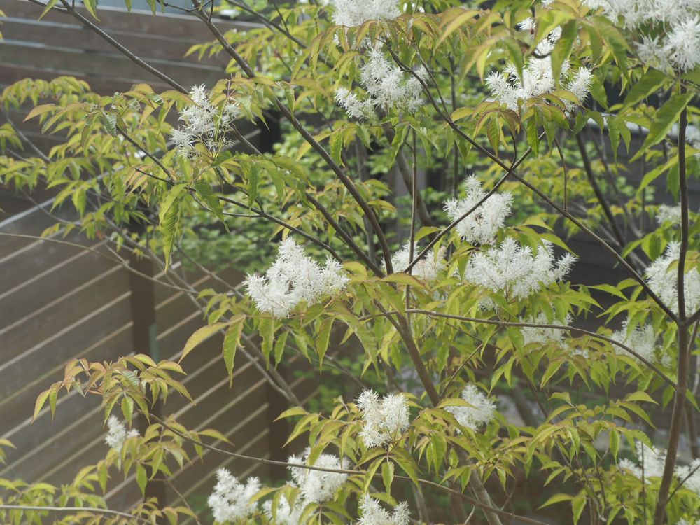 芽吹きの季節