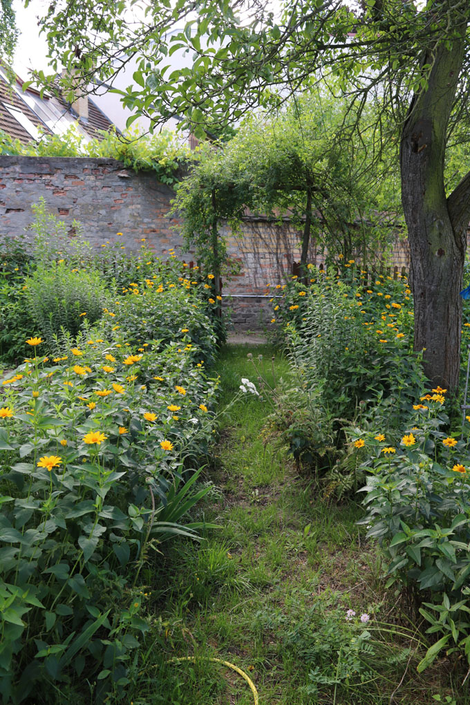 Der Schrebergarten im Juli