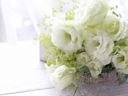 4月スタート！リフレのクラスのご案内と4月のご予約状況のお知らせ