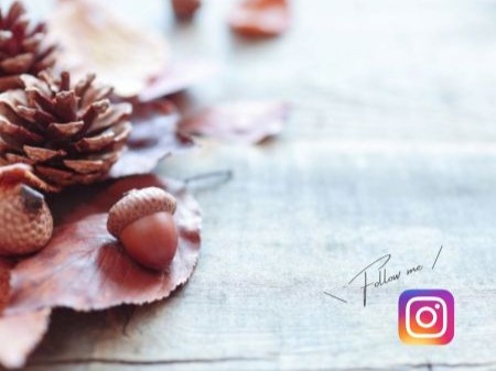 開催情報をいち早くお知らせ！インスタグラム始めました