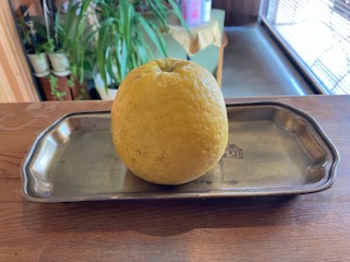 本日のお礼