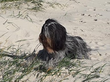 .....Urlaub Sankt -Peter Ording