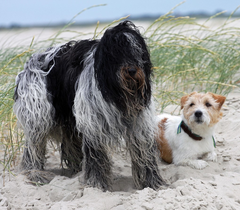 Bo und Mats im Urlaub