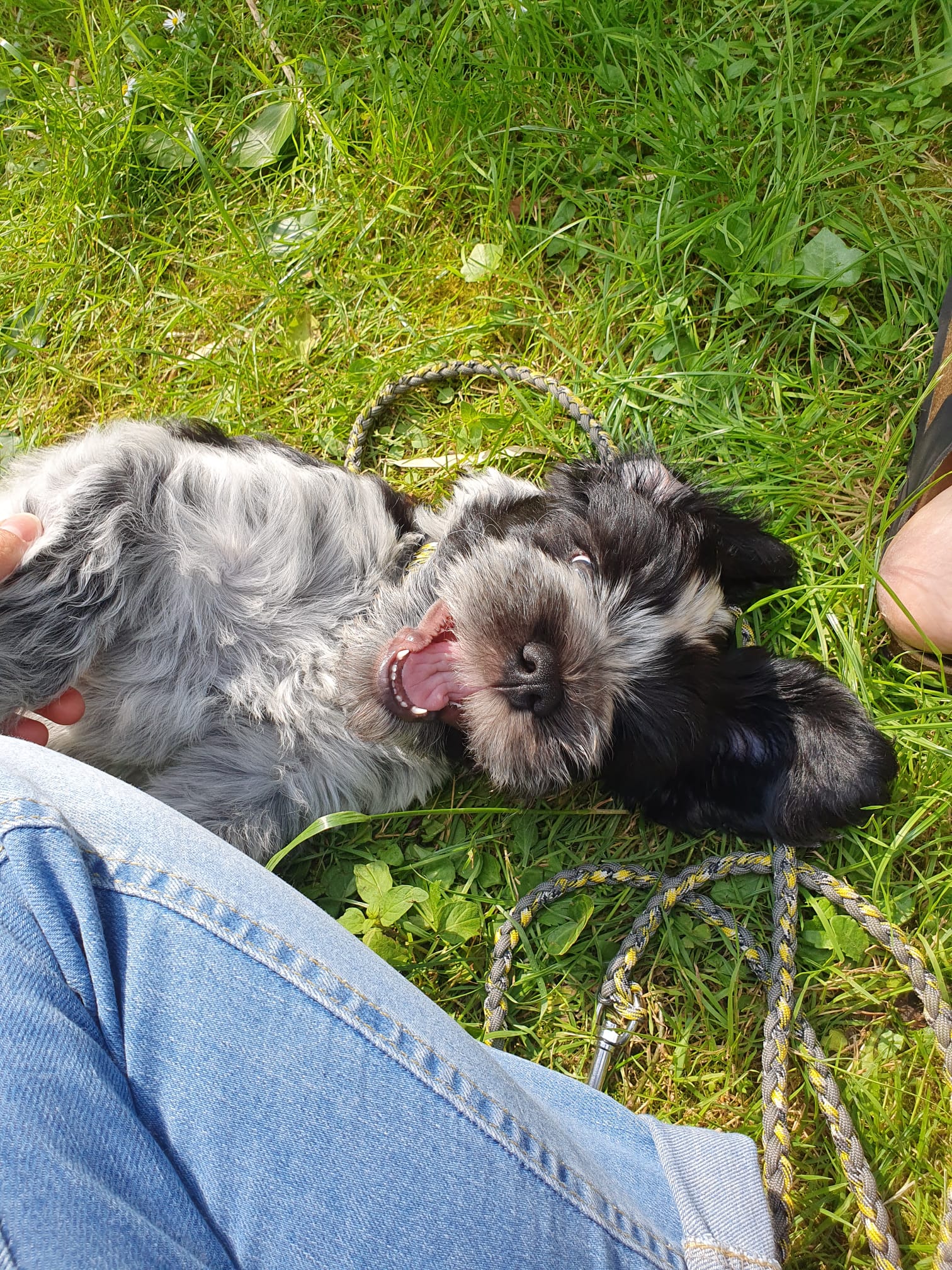 ... Morty hat gut lachen