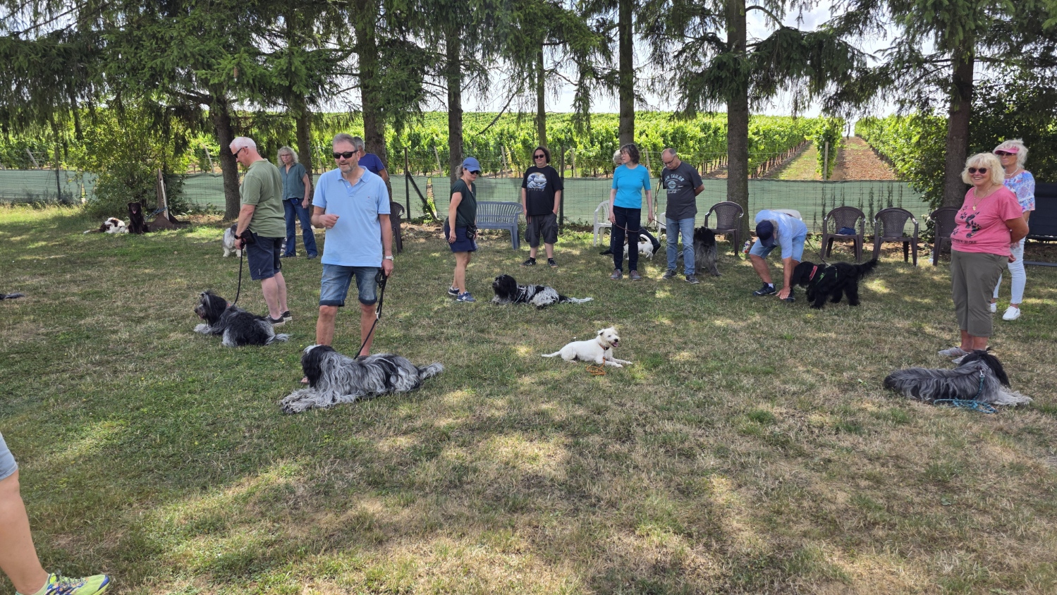 auf dem Hundeplatz in Wöllstein