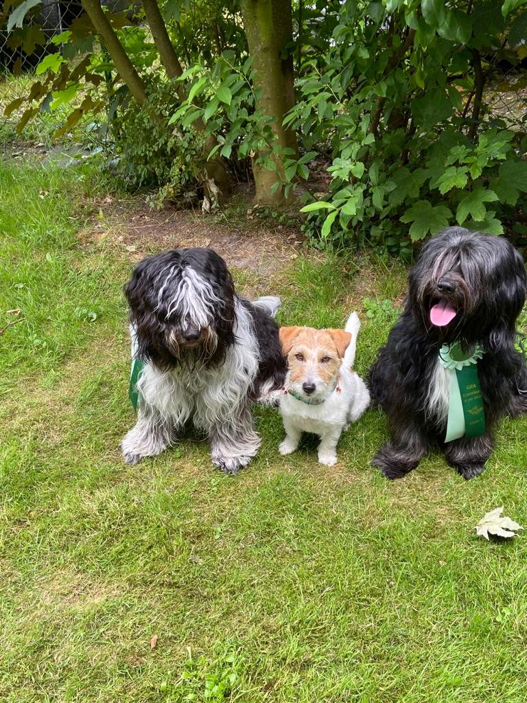  Das Trio Bo Halbbruder Junior und Mats