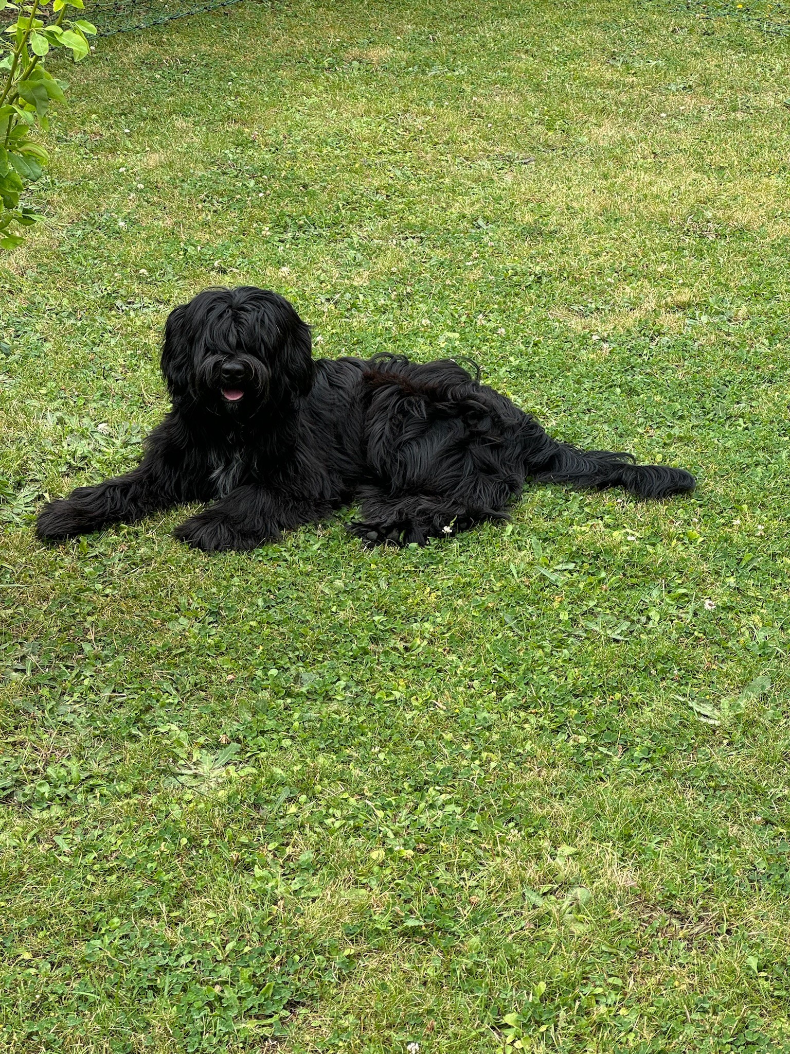 chillen muß sein
