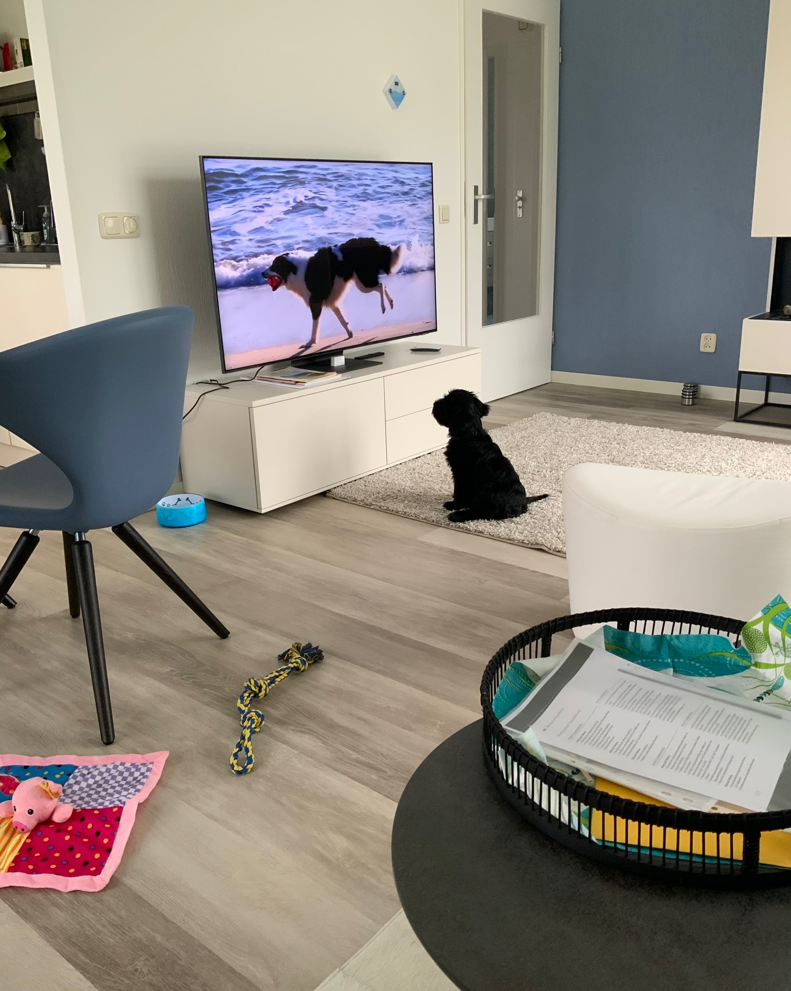 fernsehen ist spannend