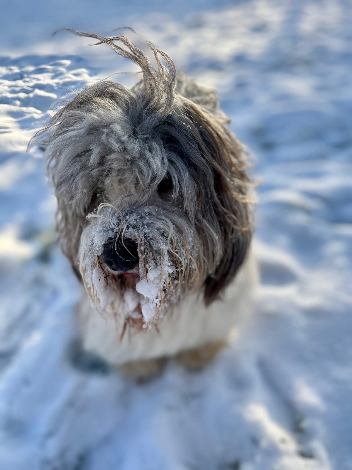 Charly