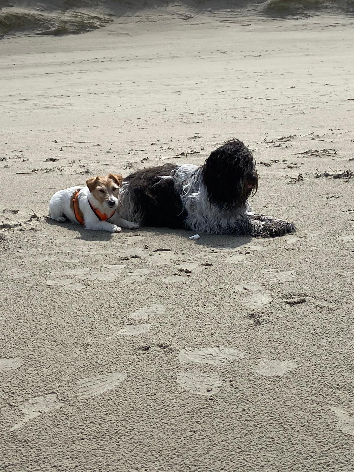 Bo und Mats in St. Peter Ording