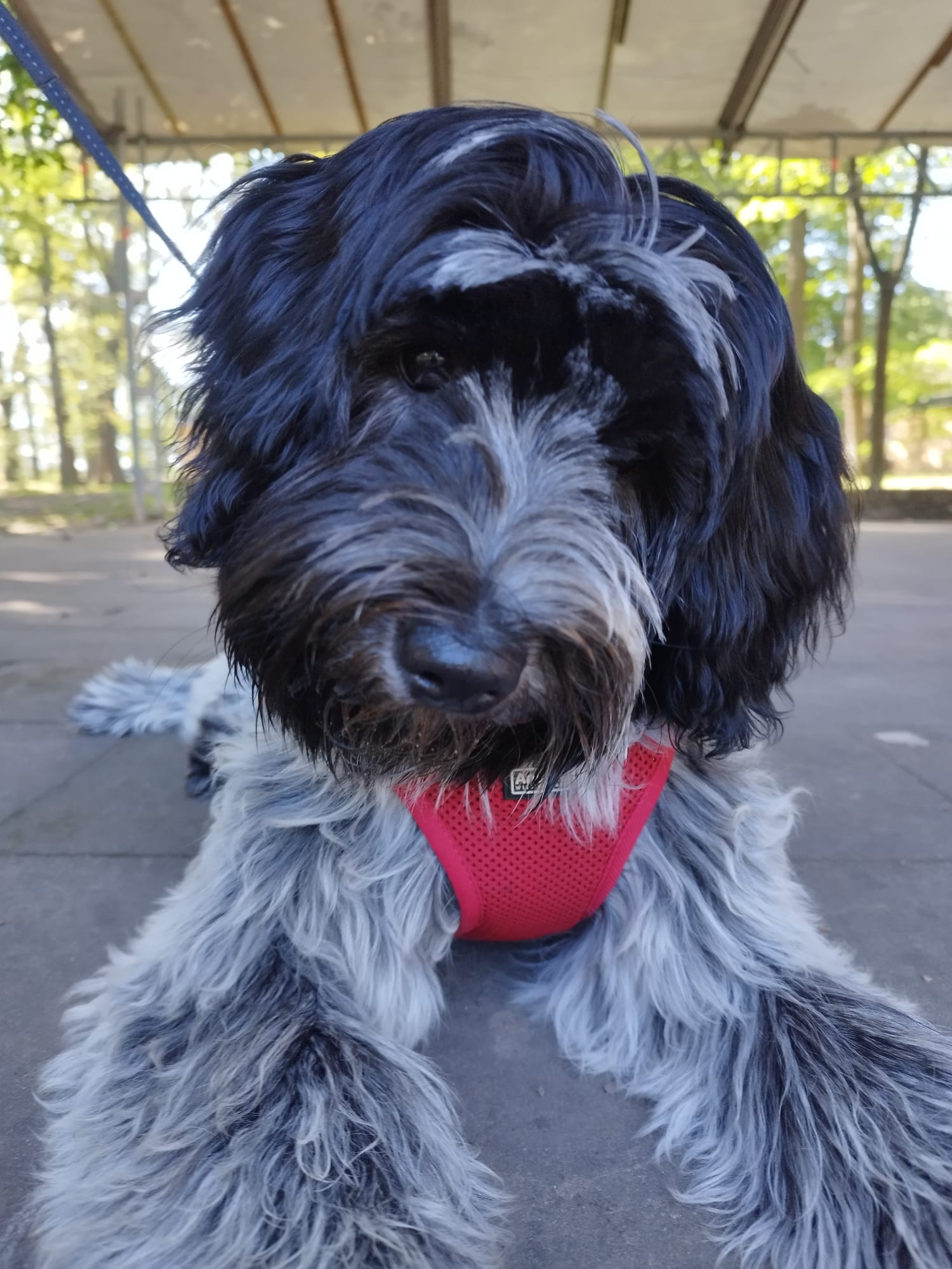 Yuna mit dem süßen Blick
