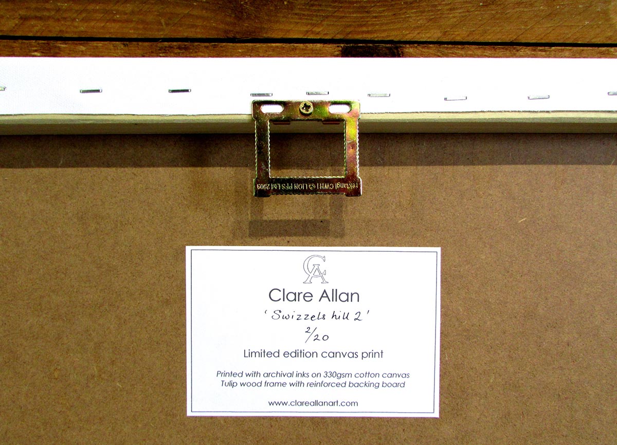 what is a fine art canvas print clare allan art