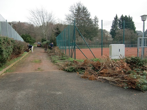 Strauchschnitt bei den Tennisplätzen.