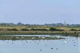 L'Embarcadère de l'Abbaye, partenaire touristique du réseau d'hébergeurs Sud-Vendée Vacances