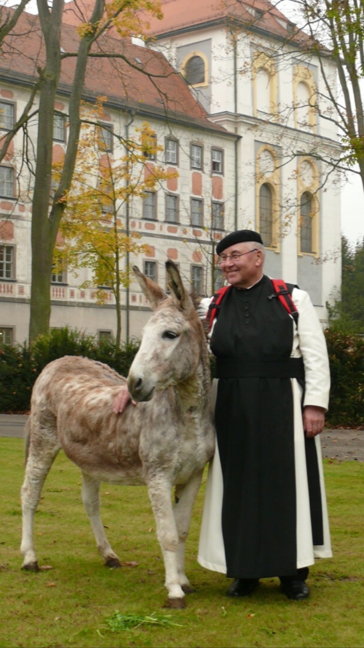 P. Gabriel Lobendanz (80)