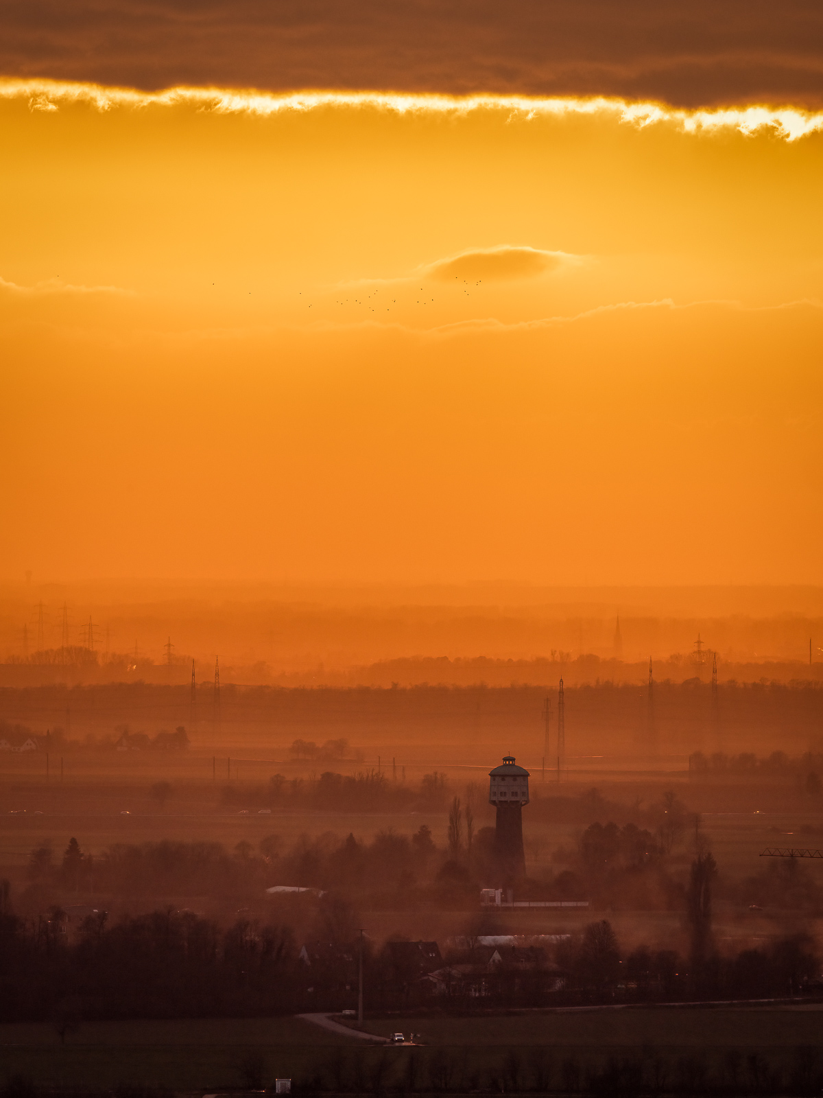 Sonnenuntergangsstimmung um den Wasserturm in Edingen