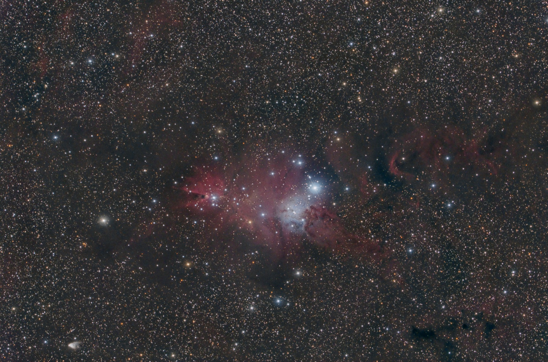 NGC 2264, EdgeHD11" mit Hyperstar, Alccd10, Baader Neodymiumfilter, 12x300s, 11x420s, 4x600s