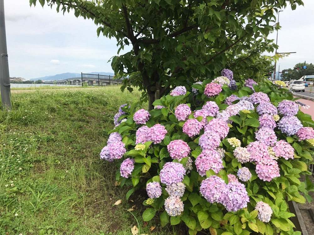 YouTubeでのあなたの分野のシェア率を上げて行きましょう！