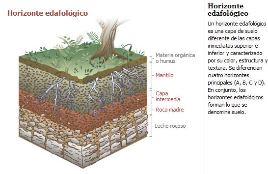 Fuente: diamonsustentable