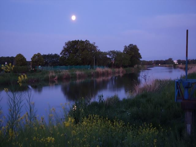 後日宮谷プロから写真が届きました。5月8日散歩時に・満月と朝日を同時に見られました