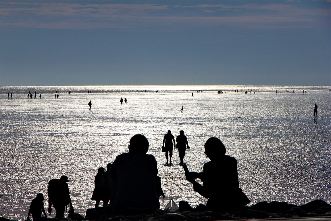 Nordsee | Büsum | Wattenmeer II