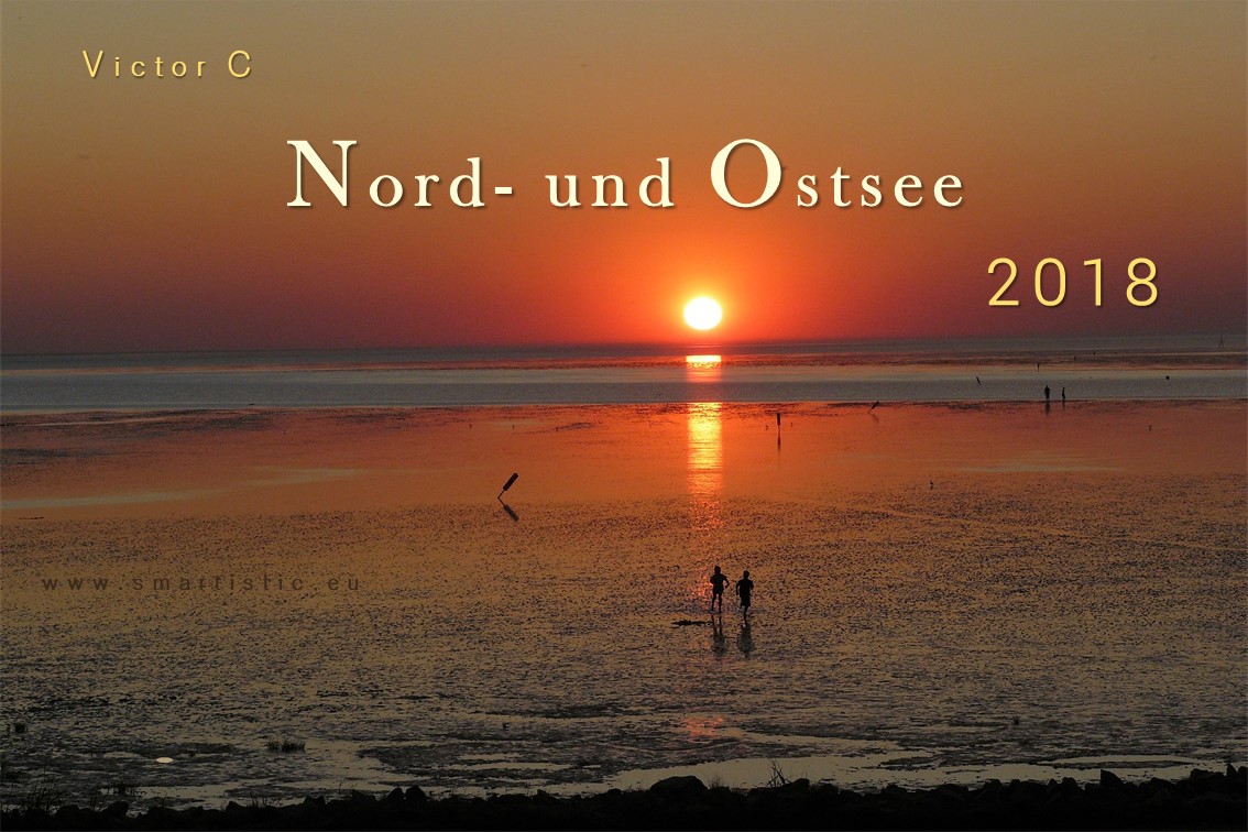 Nordsee | Büsum | Wattenmeer I