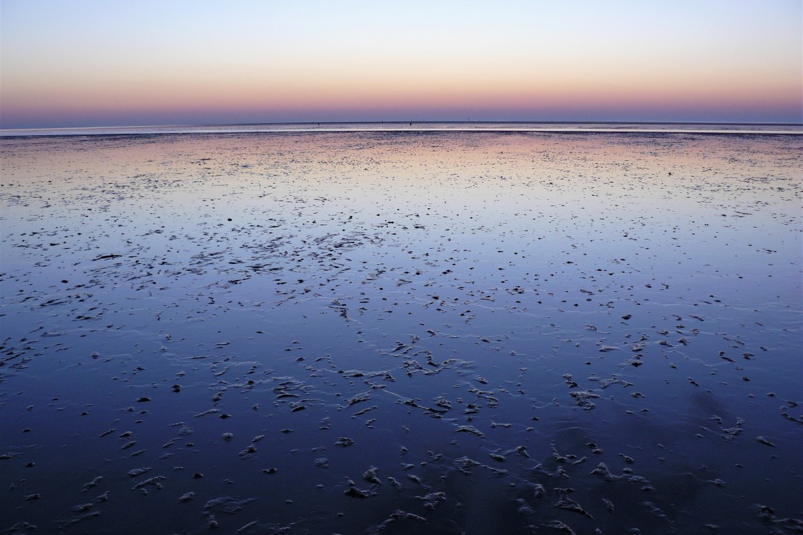 Nordsee | Büsum | Wattenmeer III