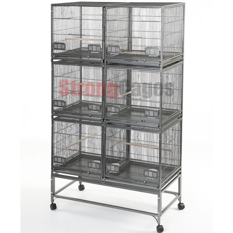 Nuevos expositores Roma de strong cages Aviario Nazari Aviario de