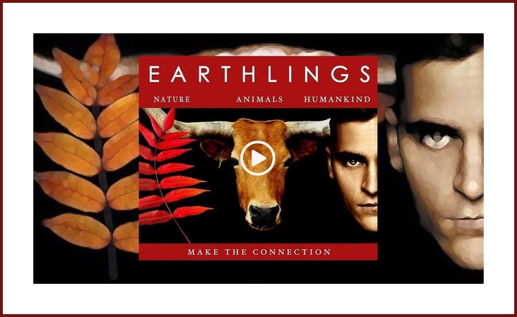 Home | Animal Care International - ACI - Animal Care International (ACI) Home | Animal Care International - ACI - Animal Care International (ACI)