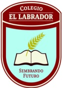Página web de colegioellabrador