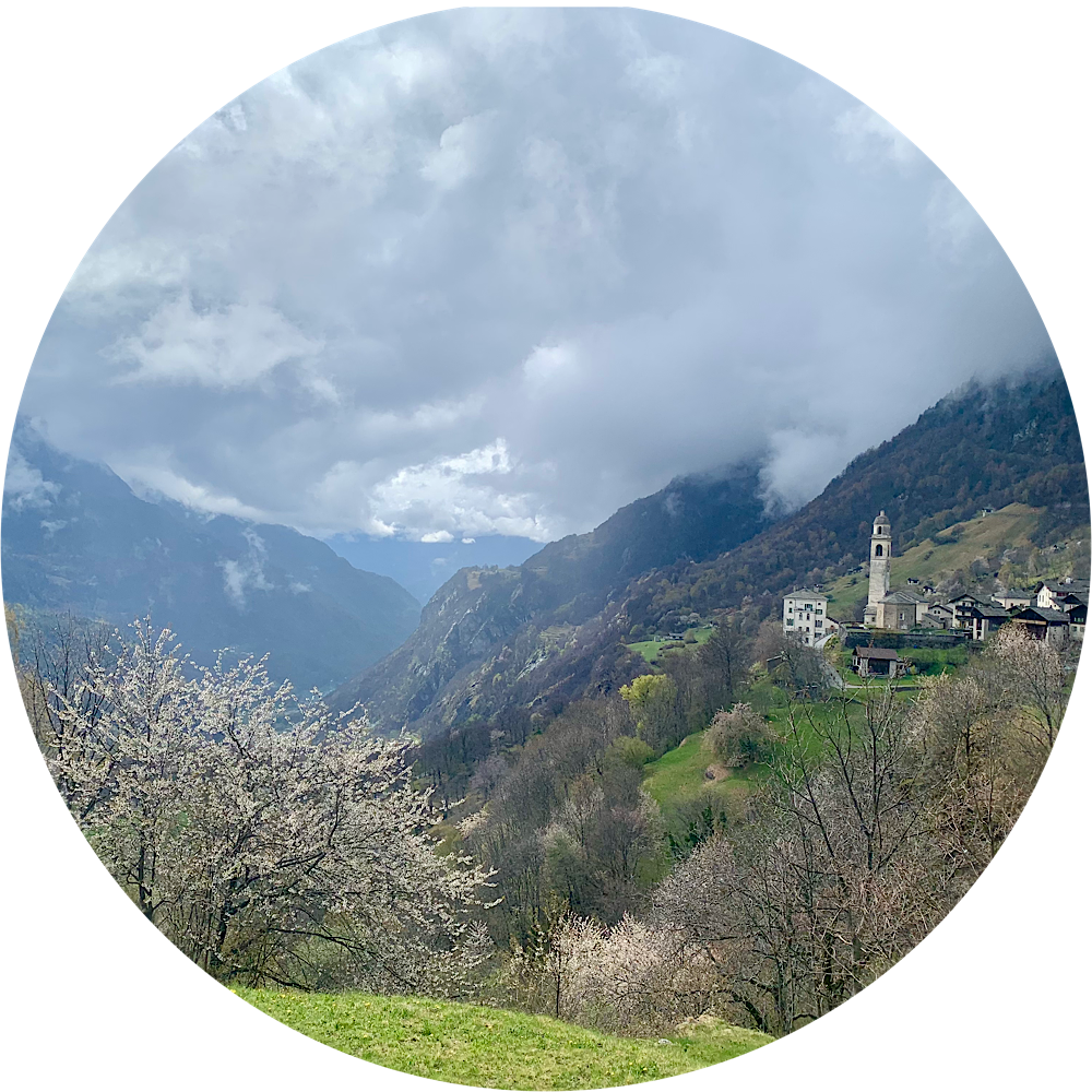 Wisdom #Soglio