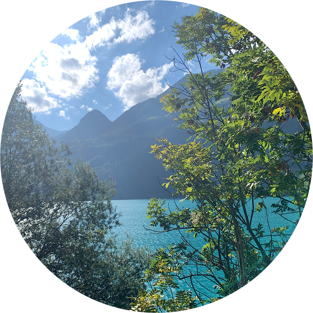 Durch die Schweiz geschlängelt