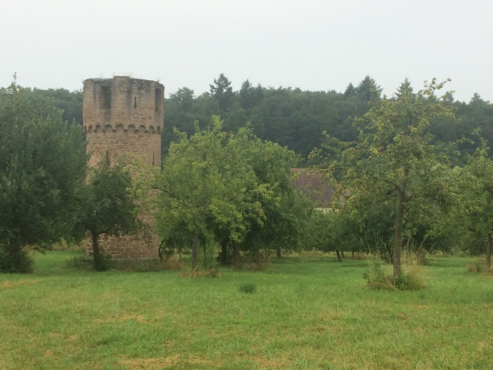  Stifterhof bei Odenheim (ehemaliges  Benediktinerkloster, Ritterstift)