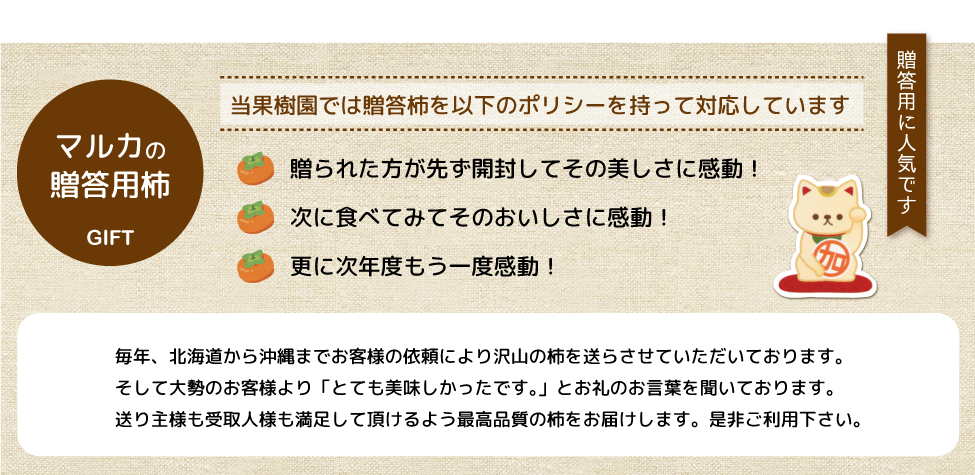 人気のマルカ贈答用柿
