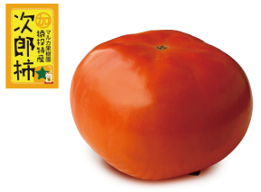 マルカの大きな次郎柿