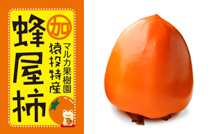 干し柿用マルカの蜂屋柿