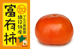 大きくて甘い富有柿