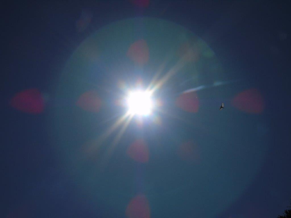 Lichtportal im Mai mit einem vorüberfliegenden Vogel, der uns einen interessanten Eindruck von der Größe des Tores vermittelt.