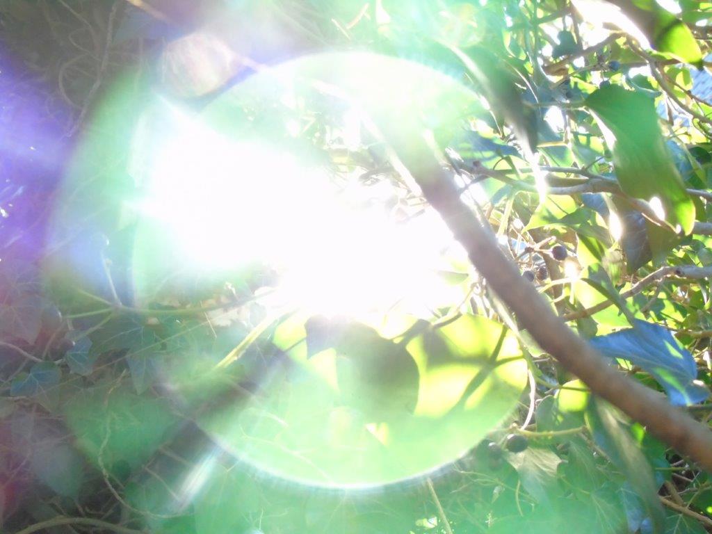 Grün als Hauptfarbe der Natur und Heilung, Blau als Göttlicher Willen und Frieden, Kraft und Schutz