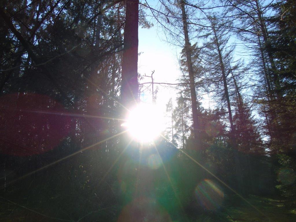 Aktivierter Lichtkörper