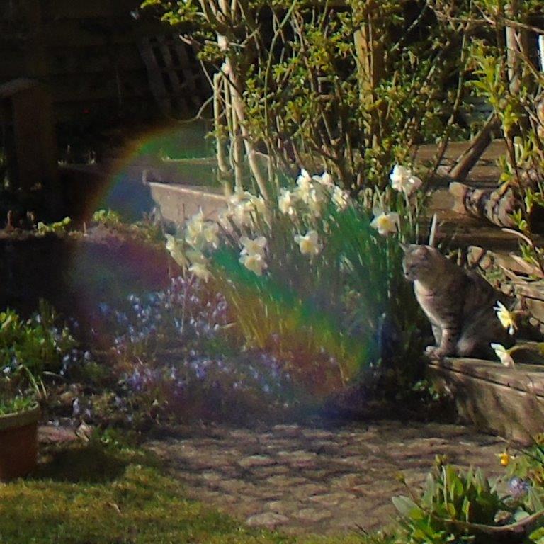 Ein ganz besonderes Überraschungsei hat sich heute, am Ostersamstag im Garten manifestiert....