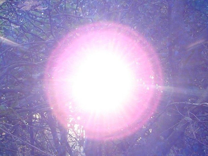 Meine Begegnung im Wald, und dennoch außerhalb von Zeit und Raum.....www.lichtwesenfotografie.com