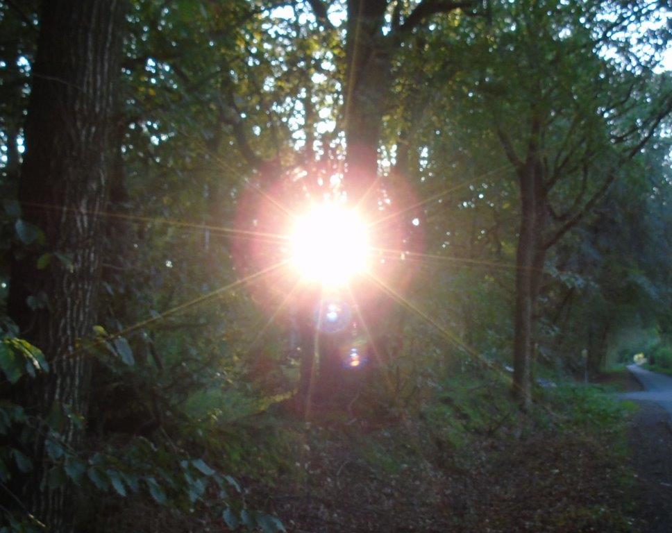 Passend zum heutigen 22222 - Tag: Viele Doppelstrahlen, die aus der Herzsonne in die Landschaft abstrahlen....Quelle: www.lichtwesenfotografie.com☼☼☼ ☼☼☼ ☼☼☼